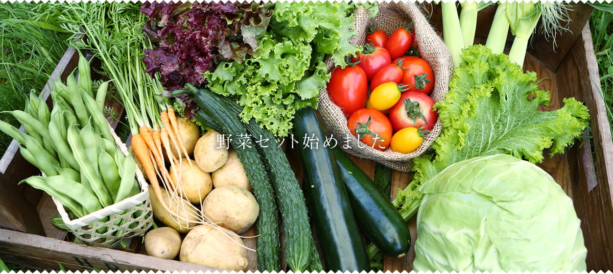 野菜セット始めました。