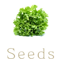 Seeds