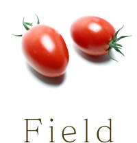 Field