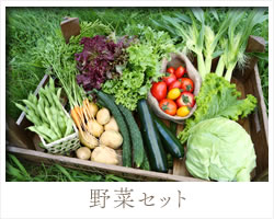 野菜セット