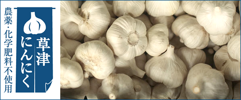 サマホリにんにく